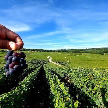 Epernay Capital De Champagne Lejlighed Eksteriør billede