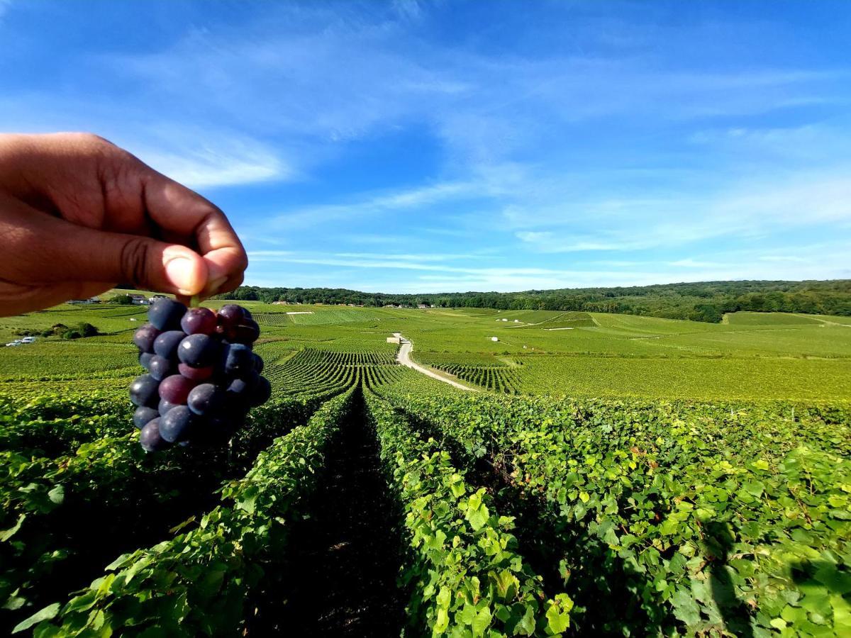 Epernay Capital De Champagne Lejlighed Eksteriør billede