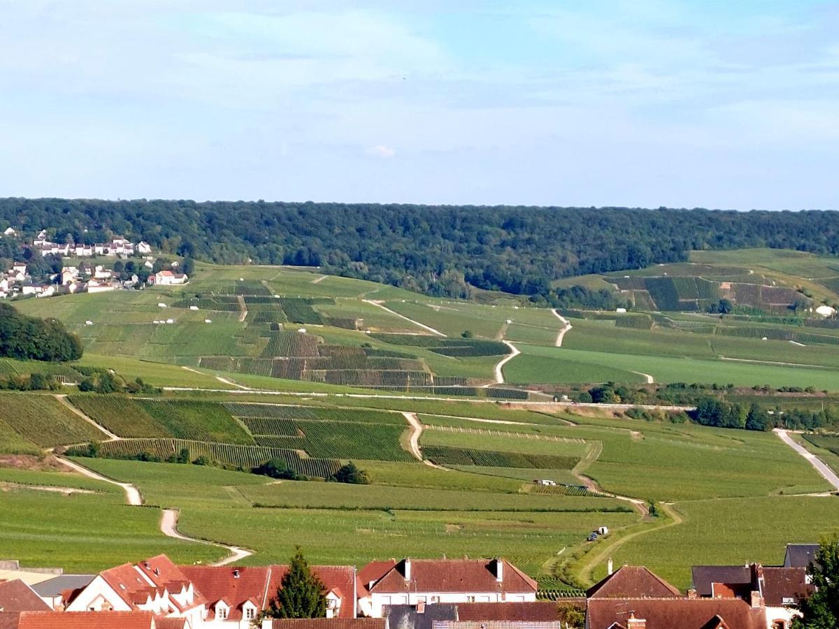 Epernay Capital De Champagne Lejlighed Eksteriør billede